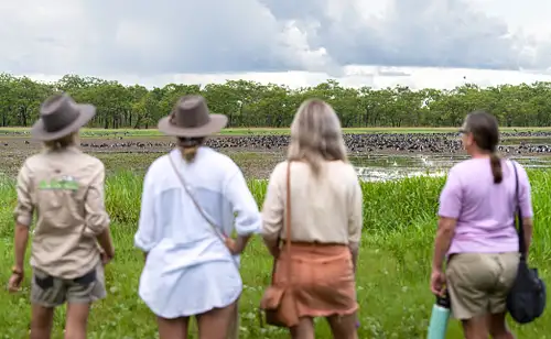 Territory Wildlife Park Entry & Day Tour | Lunch Included