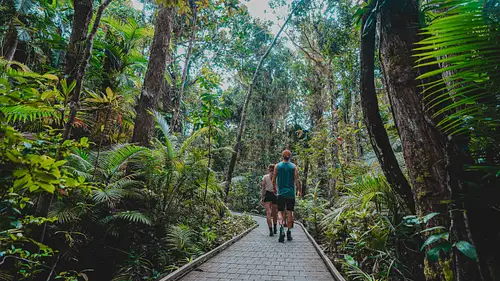 Cape Tribulation To Cooktown Overnight Tours