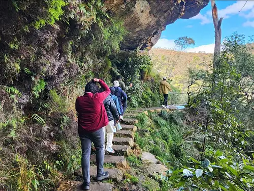 Blue Mountains Tour With Waterfall Walk, Wildlife & Social Lunch From Sydney