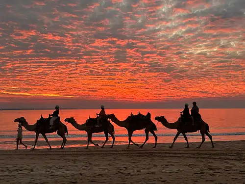 Mindil Beach Sunset Camel Experience