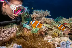 3 Day Great Barrier Reef Liveaboard Package | Snorkel or Dive