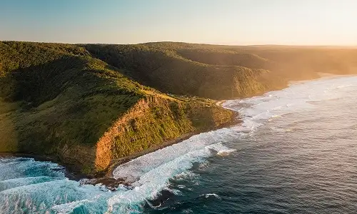Royal National Park