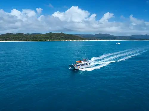 Ngaro Track Transfer - Return Trip from Island to Shute Harbour