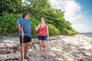 daintree national park tours