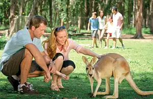 Currumbin Wildlife Sanctuary