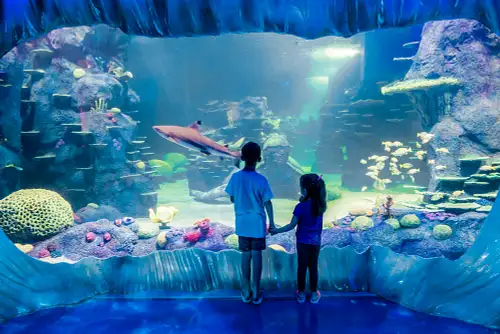 Sea Life Sydney Aquarium Tickets - SEA LIFE general admission