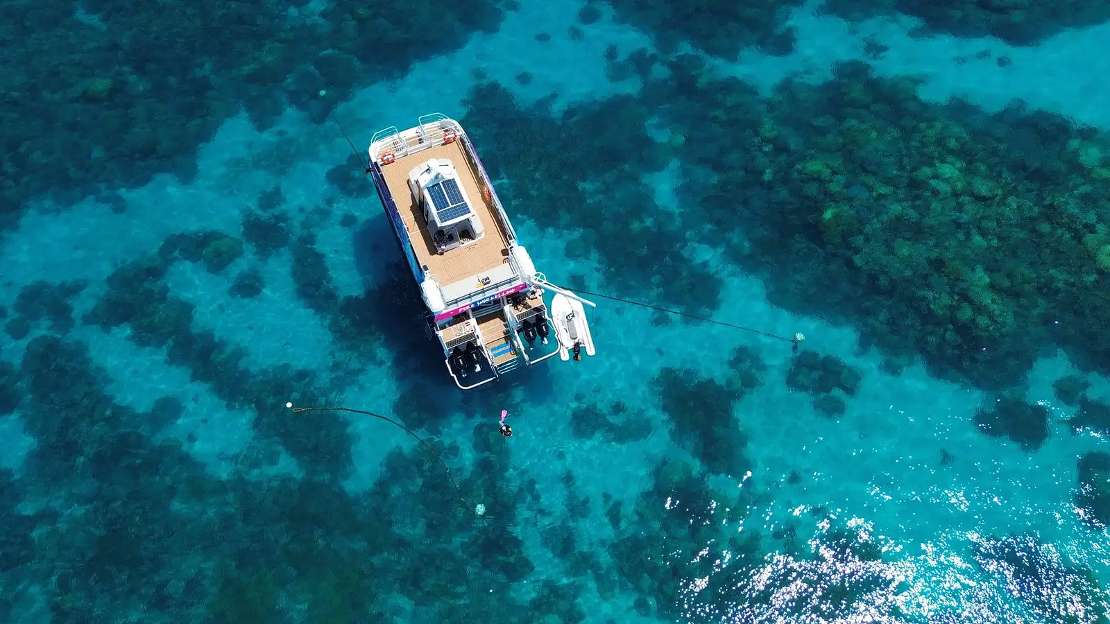 Half Day Outer Reef Snorkel Adventure Cairns