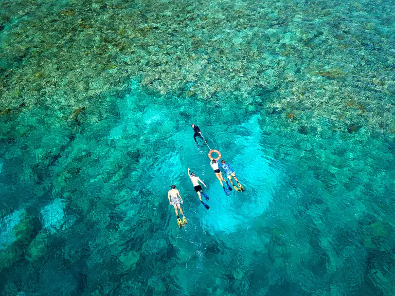 Great Barrier Reef Outer Reef Snorkelling Tour from Cairns