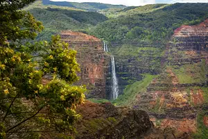 Waimea Canyon & Kōkeʻe Scenic Adventure Tour