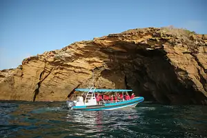 newcastle harbour & coast sightseeing cruise