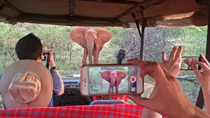 Southern Africa Safari Deals