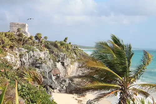 Tulum Jungle Adventure