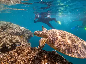 Great Barrier Reef Adventures Promo