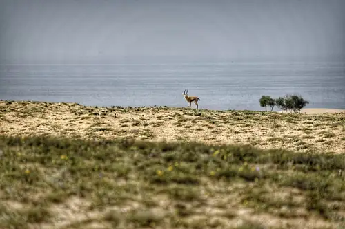 Half Day Souss-Massa National Park Guided Tour