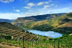 Douro Valley Tour with Lunch, Wine Tasting, and Cruise | With Transfers from Porto