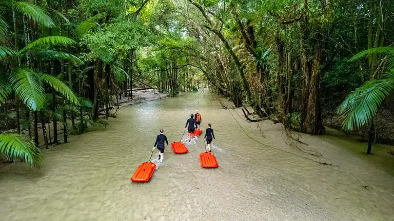 river drift on mossman river